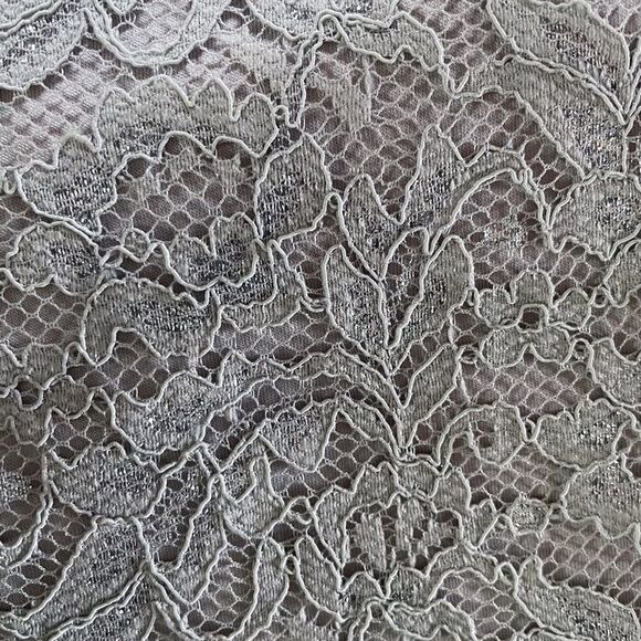 Ann Taylor LOFT Silver Beige Gray Lace Tank Top Metallic Layer Size Small - Picture 6 of 9